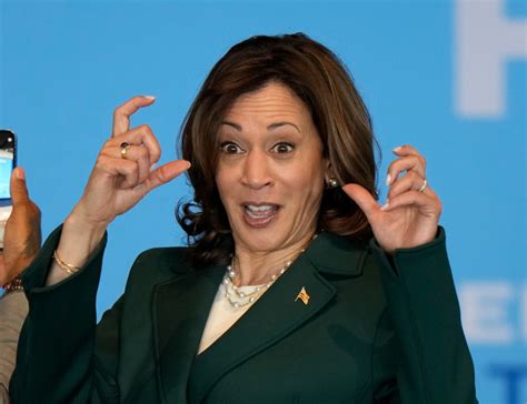 Tom Bevan: VP Kamala Harris Passes President Biden in RCP .